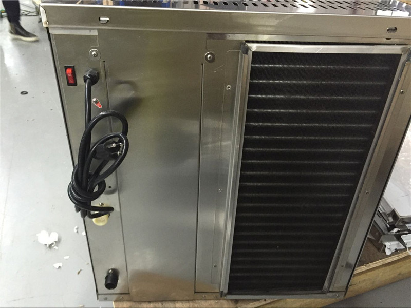 Máquina de fabricación de hielo (GRT-LB600T)