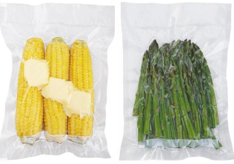 Packer de vac&iacute;o de doble c&aacute;mara de alta calidad (GRT-DZ600 / 2SB)