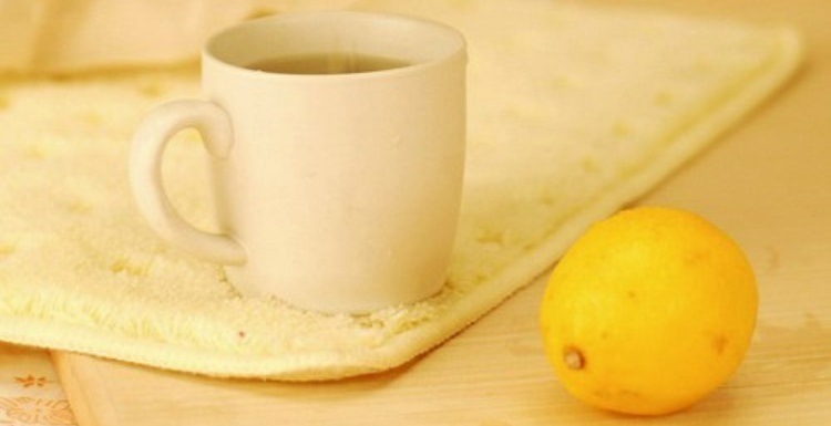 M&aacute;quina manual del exprimidor de lim&oacute;n (GRT-HL-2)