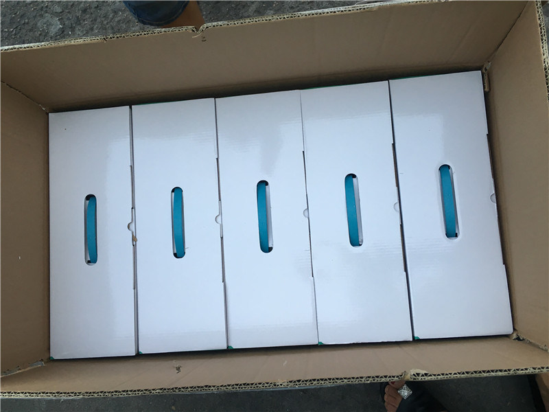 Escala de conteo GRT-ACS708C con luz blanca LCD para contar