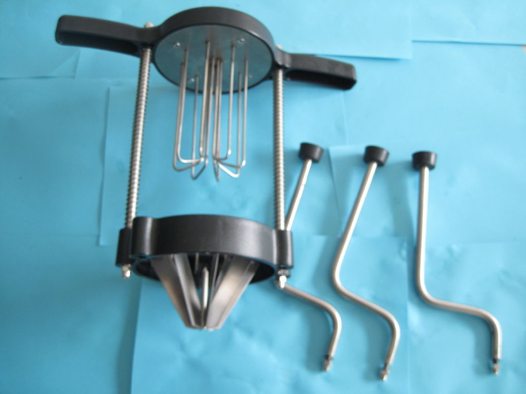 Tomate Slicer (GRT-HLB6)